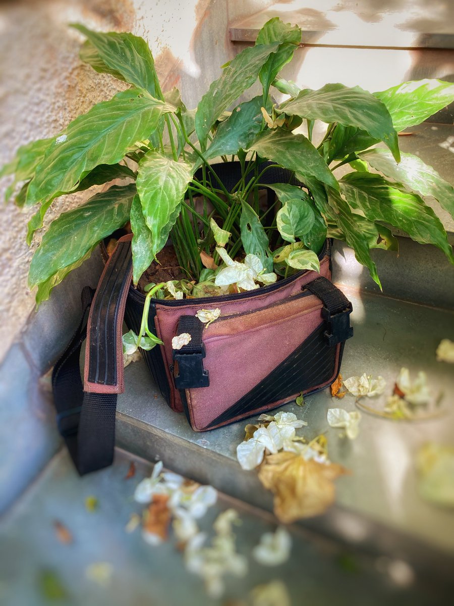Mallikaarya30's tweet photo. #myclimatestand
Using this lockdown period to reinvent, re discover and re set! Also getting a bit creative! 🌿🌏
@KenyaPoetrySlam @mufasapoet https://t.co/lcCQU3AHgj