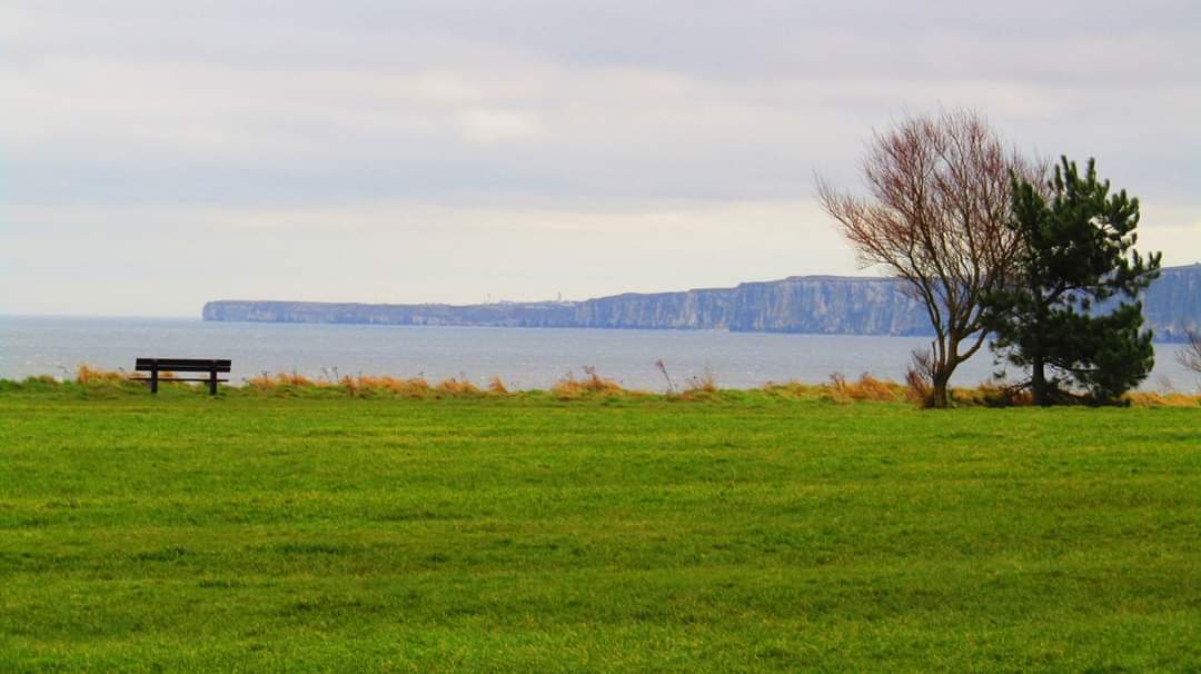 itisntdisney1's tweet photo. When I took this I called it solitude, now this should be the norm #StayHomeSaveLives #COVID19 #loveFiley @YorksCoastRadio @Yorkshire2018 @wavesfiley @DiscoverCoast @BlingWendy @FileyBayToday https://t.co/ZaAlVUpH3L