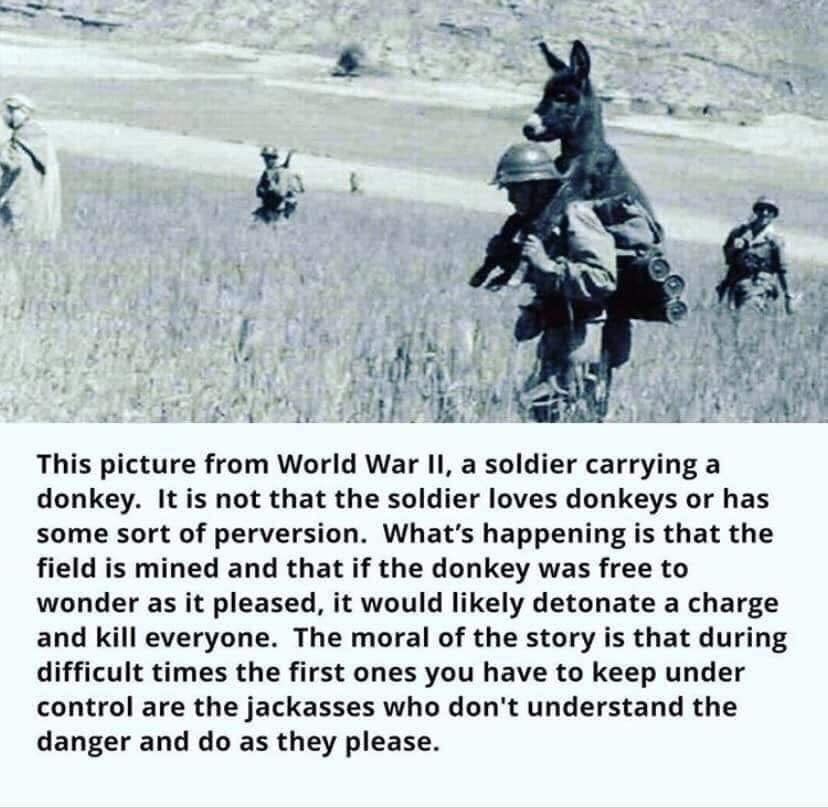 colleenfaywalsh's tweet photo. I think most of the jackasses I know roaming free are much too big to be carried on my back 🤦🏼‍♀️ https://t.co/DE9sjQla0p