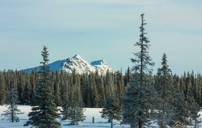 The day is March 18, 1944.A Finnish ski patrol in the terrain of Finnish lapland is on the third day of its mission behind enemy lines when the group is ambushed by Soviet forces at the foot of Korvatunturi fell.