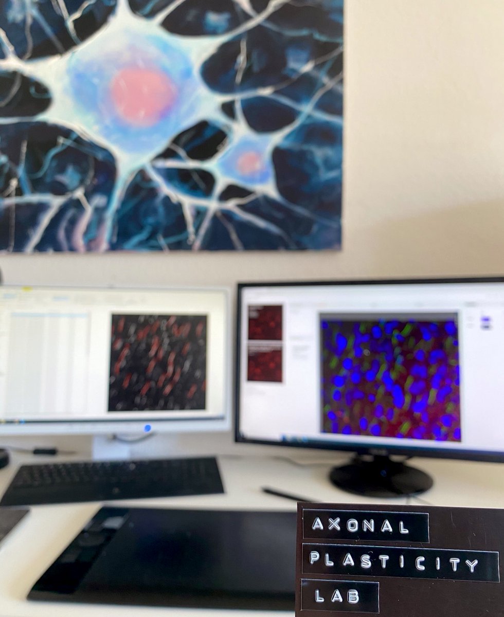 Maximilian Janssen (@jmaxjanssen) on Twitter photo When lab is closed but <a href="/AxonalLab/">AxonalPlasticityLab</a> needs that data 🏡 🔬 (thanks for the new door plate) When lab is closed but <a href="/AxonalLab/">AxonalPlasticityLab</a> needs that data 🏡 🔬 (thanks for the new door plate)