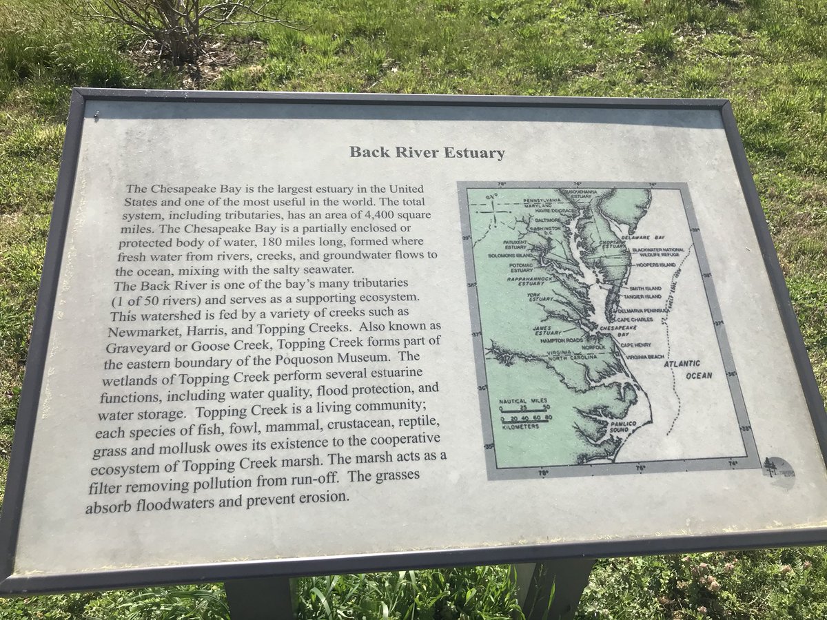 HCS_ScienceDept's tweet image. A walk in the Poquoson Learning Garden and marsh for Watershed Friday! It was a beautiful day to remember that we all have to do our part to help #SavetheBay. A Watershed is the land water flows on to get to a bigger body of water and you can make a difference!  #hcsscience
