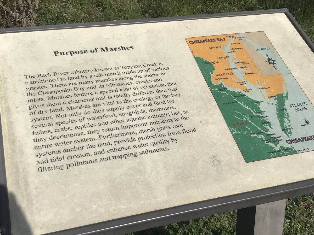 HCS_ScienceDept's tweet image. A walk in the Poquoson Learning Garden and marsh for Watershed Friday! It was a beautiful day to remember that we all have to do our part to help #SavetheBay. A Watershed is the land water flows on to get to a bigger body of water and you can make a difference!  #hcsscience