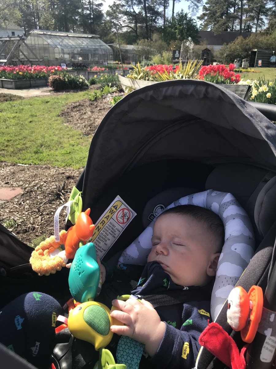 HCS_ScienceDept's tweet image. A walk in the Poquoson Learning Garden and marsh for Watershed Friday! It was a beautiful day to remember that we all have to do our part to help #SavetheBay. A Watershed is the land water flows on to get to a bigger body of water and you can make a difference!  #hcsscience