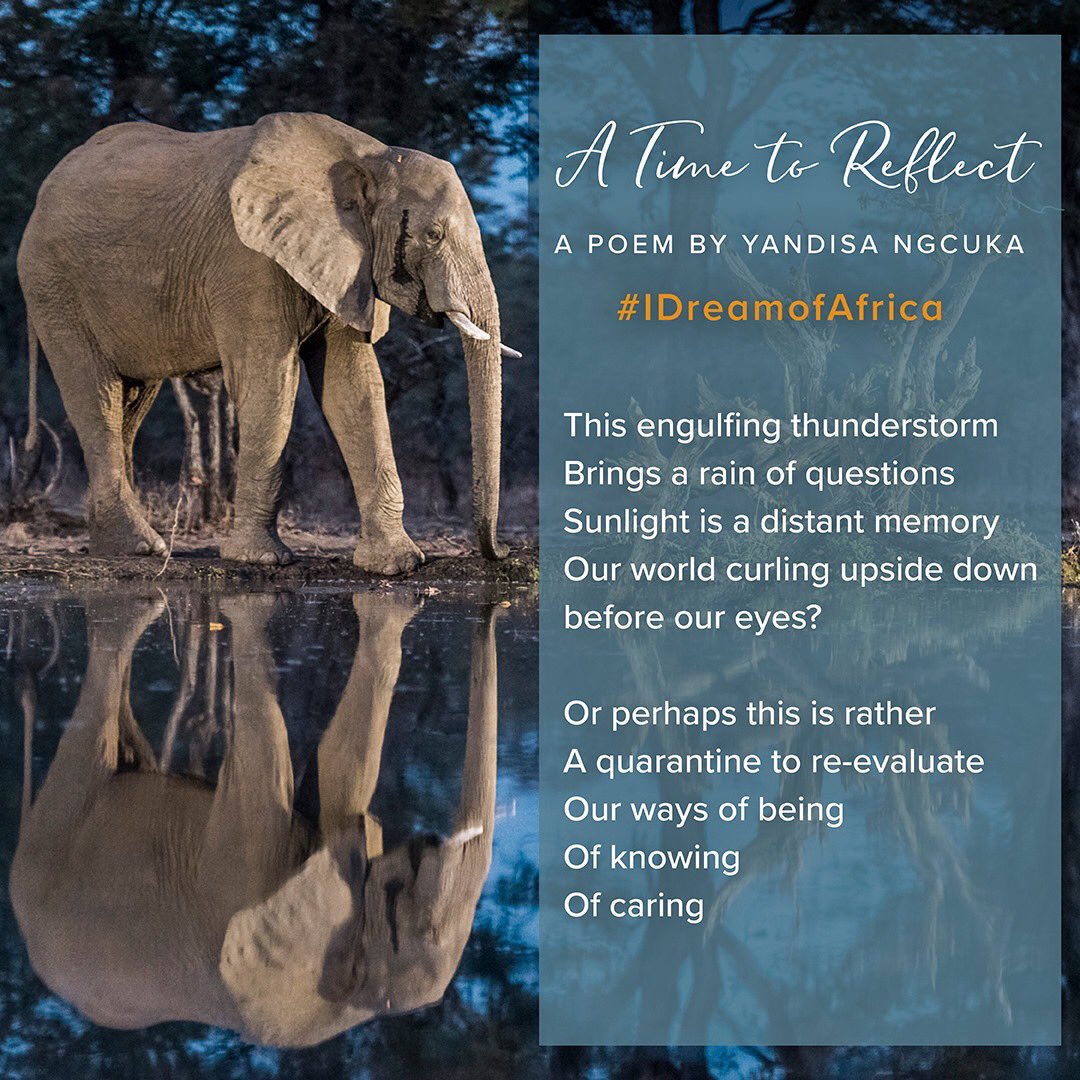 WeAreWilderness's tweet photo. Wilderness Safaris Sales Manager Yandisa Ngcuka shared this inspirational poem with us. We hope his message of hope will brighten your day.

#IDreamOfAfrica #WildernessPoetry #WeAreWilderness #WildernessDreams https://t.co/WAyrz6Ya6o