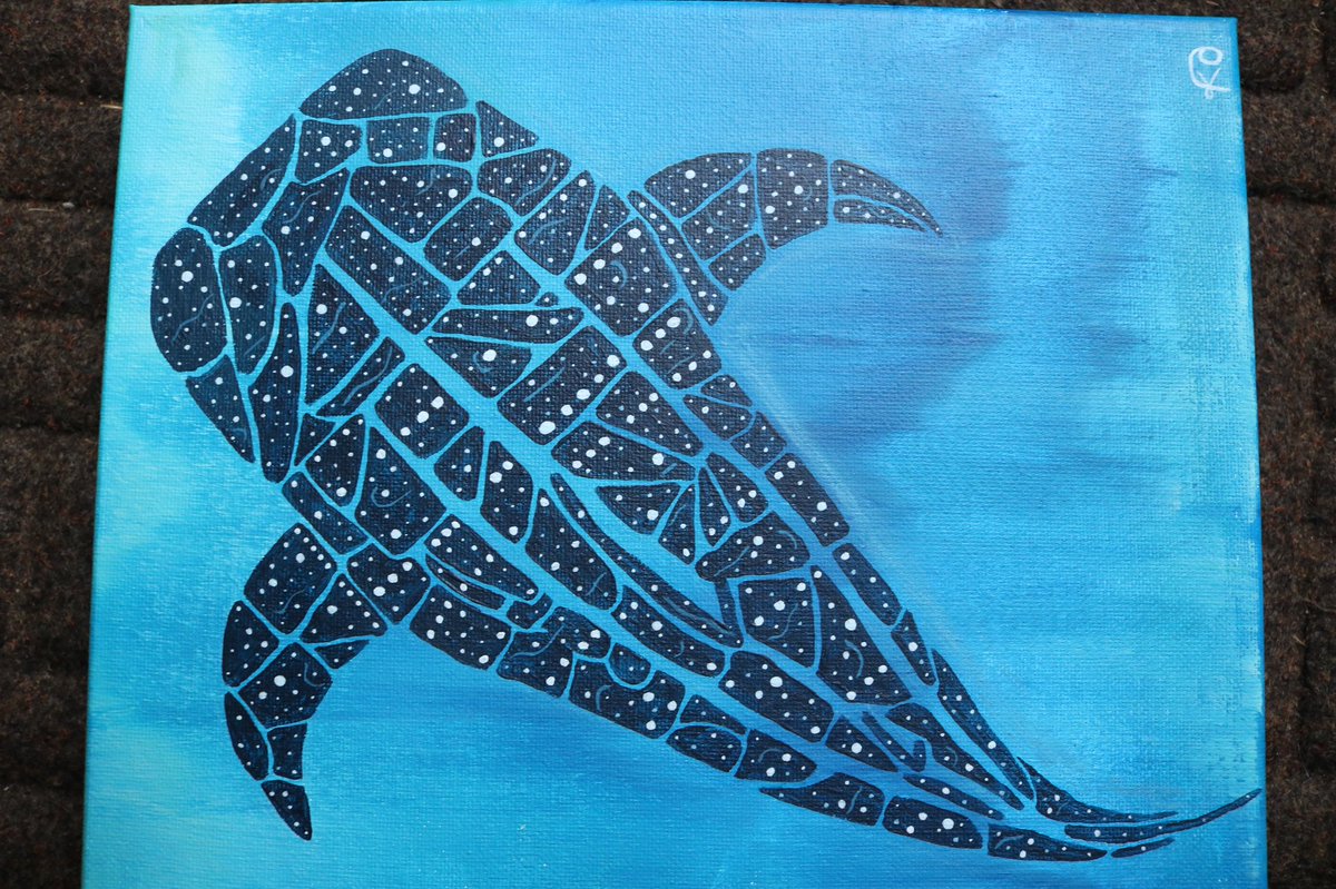 Shark_FinGirl's tweet photo. @mopage19 I paint mostly ocean inspired pieces!

IG: @ lostetsea https://t.co/ERUbMB1NDY