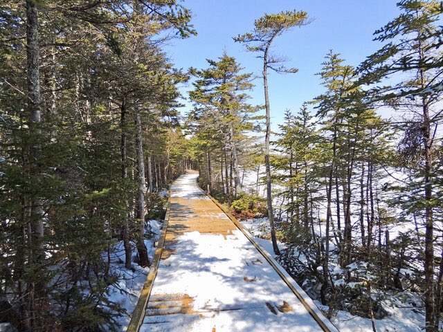 stan_sdcollins's tweet photo. The hiking trails are all beginning to open up again but sadly Parks Canada are recommending that you stay off them until this pandemic is over and the Parks have reopened again. https://t.co/WYRHaqILwW
