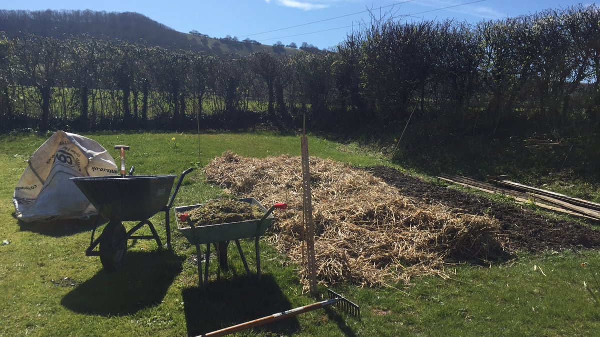 Potatoes are in #nomorequeuingatthesupermarket