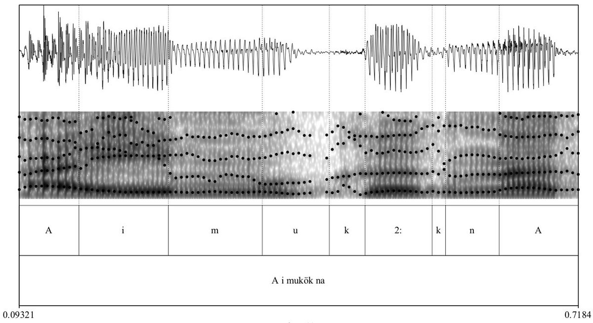 Eleanor Chodroff tweet media