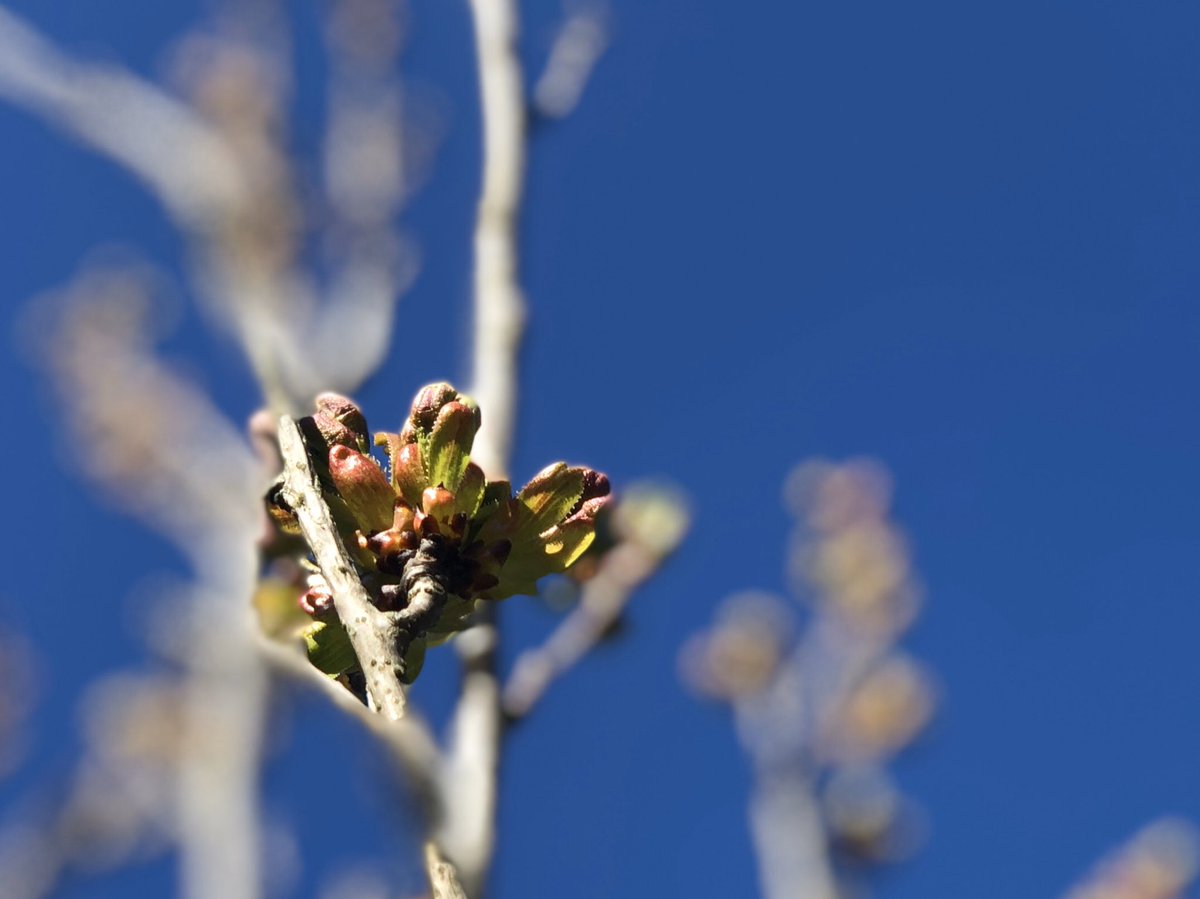 Get Und dann muss man ja auch noch zeit haben Free Und Dann Muss Man Ja Auch Noch Zeit Haben