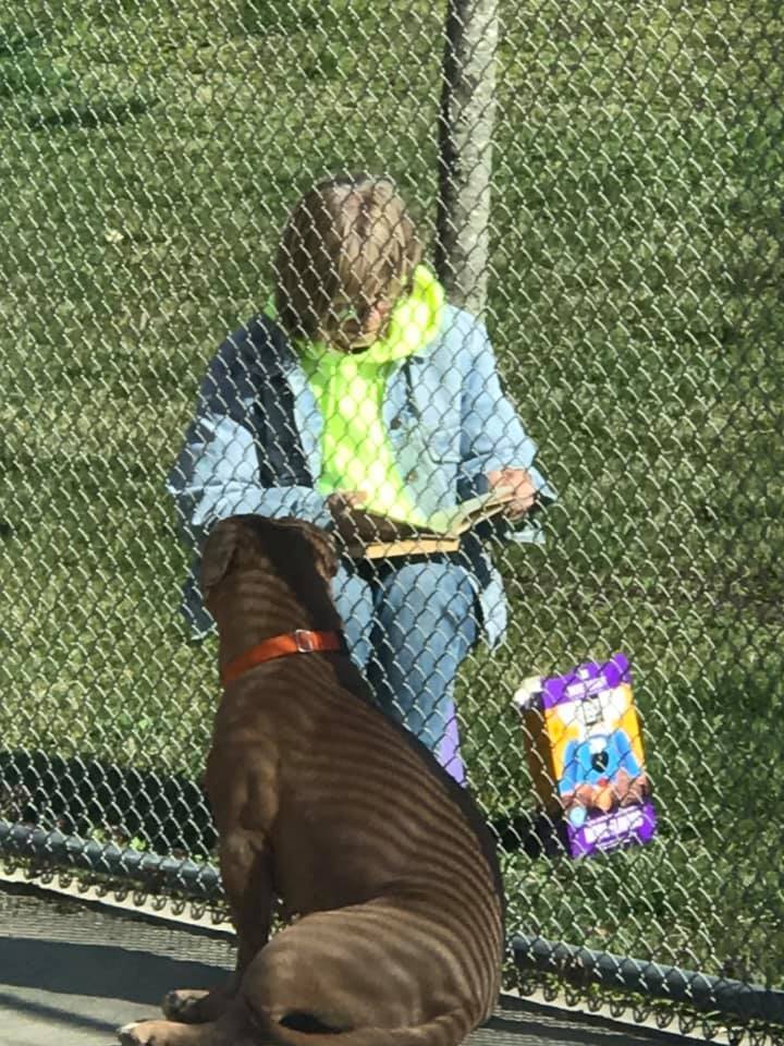 Our dedicated volunteers, who are higher risk, have not been able to come into the shelter to work with our animals.  We've had to find creative ways for them to help.  Looks like Penelope is really enjoying listening to this book! #STARS #AdoptDontShop #WeHaveTheBestVolunteers