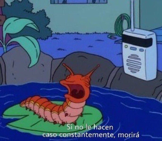 may_an__'s tweet photo. soy yo desde que empezó la cuarentena https://t.co/O3VMODUDPM