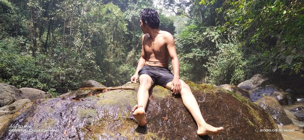 Andelsembiring's tweet photo. Isolasi di hutan https://t.co/lvZNtvisbS