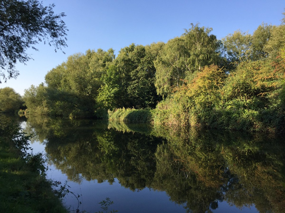 Styropack by Bewi tweet media