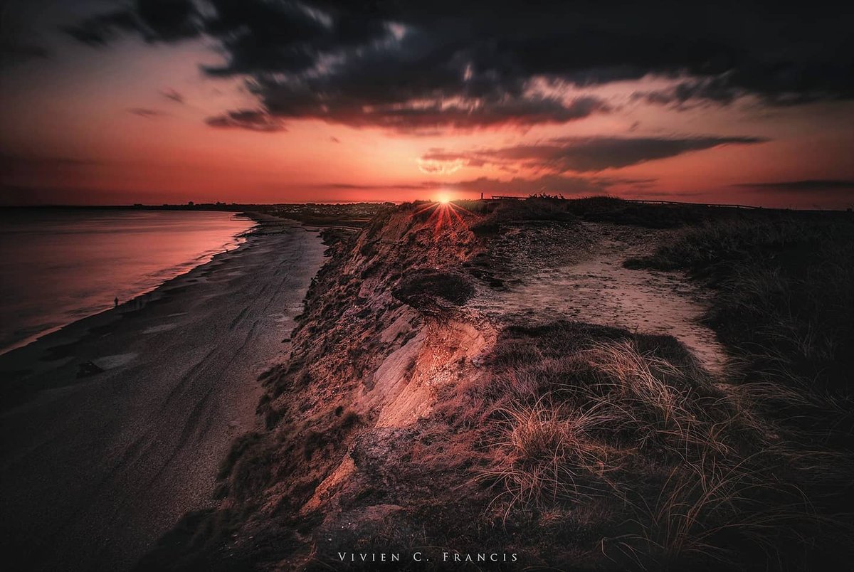 Visit Dorset tweet media