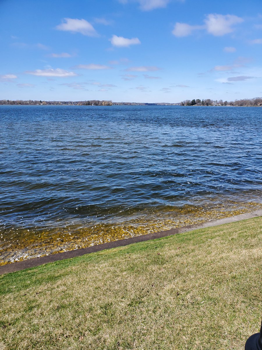 aubrey matuka tweet media