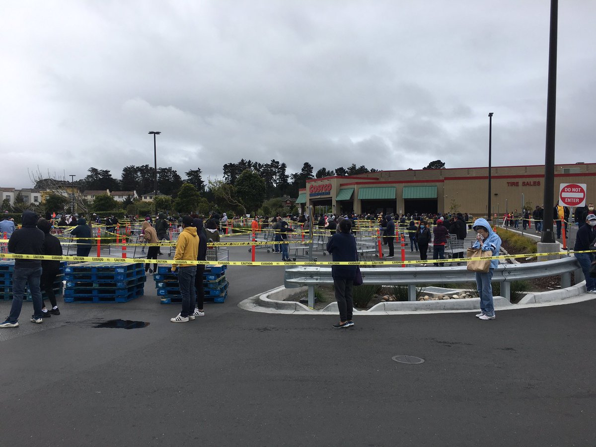 Allison Fong tweet media