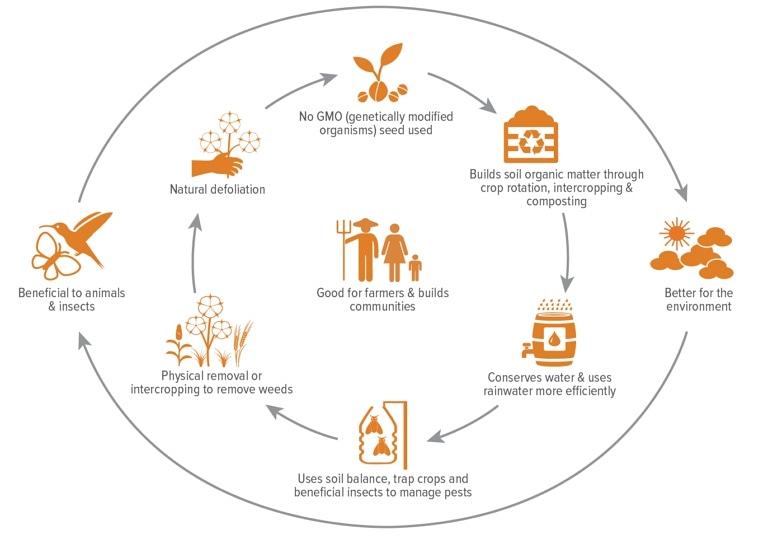 FightFFashion's tweet photo. ORGANIC COTTON
It uses 88% less water &amp; 62% less energy than conventional cotton &amp; does not expose farmers to toxic chemicals
When you buy organic cotton you are investing in water conservation, cleaner air, better soil and farmer livelihoods!
#sustainablefashion #Sustainability https://t.co/9uaBDqqkEF