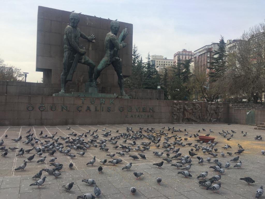 mustafaasenerr's tweet photo. Başkentte her türden canımızın beslenme ihtiyacını karışlamak için, Ankara Büyükşehir Belediyesi olarak yoğun çaba sarfediyoruz son 1 ayda 100 binin üzerinde cana besin desteği sağladık. Sağlamaya devam edeceğiz. Başkenttehercandeğerlidir. https://t.co/goqJG391Qb