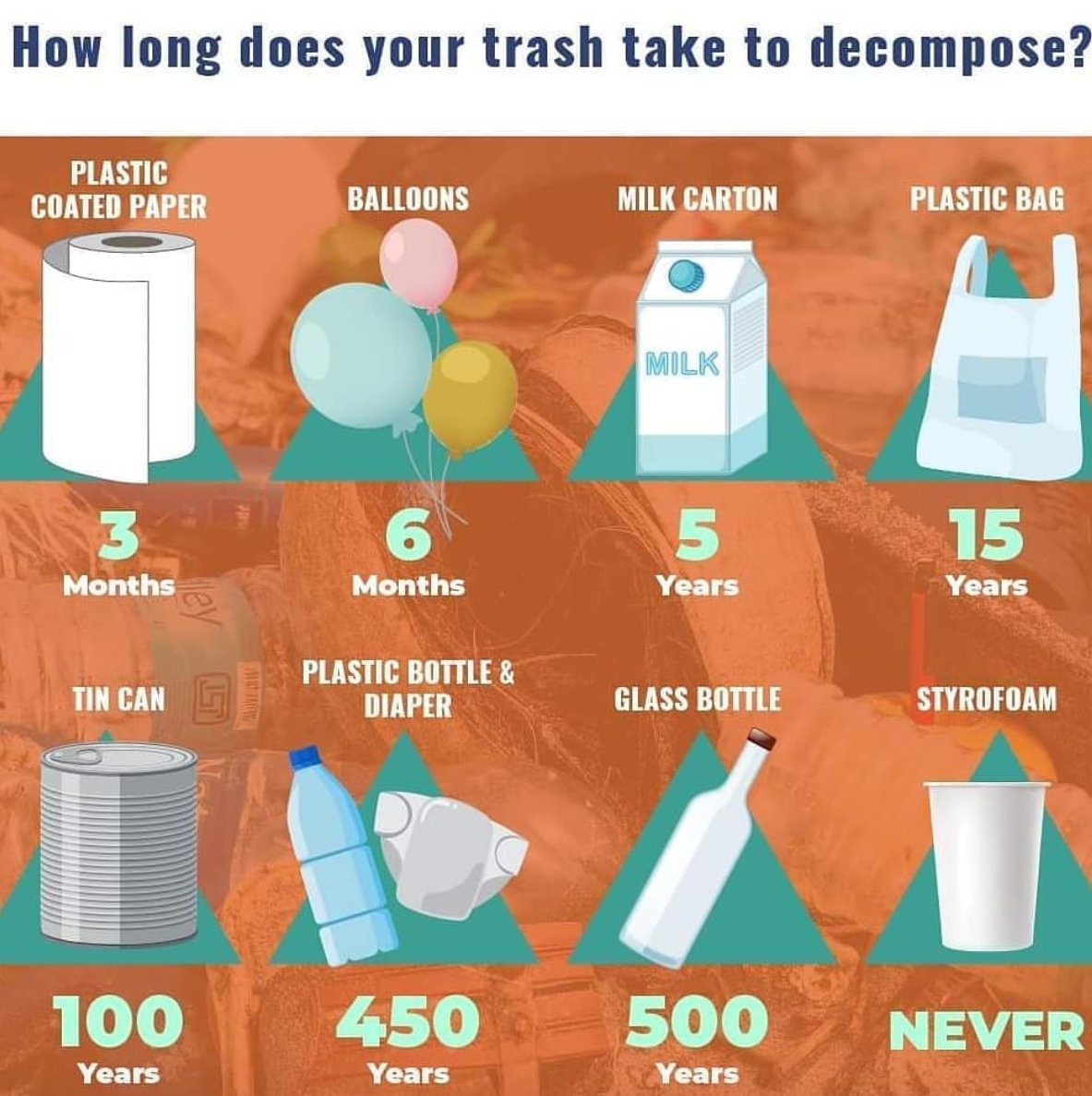 Toon Eerdekens On Twitter: "@Ecoheroes4 @Moheeco Bullshit! Paper Takes Days  To Decompose, A Balloon Years, And A Milk �Carton� Is In Reality A Plastic  Bag In A Cardboard Box. So Takes The Toon Eerdekens On Twitter: "@Ecoheroes4 @Moheeco Bullshit! Paper Takes Days  To Decompose, A Balloon Years, And A Milk �Carton� Is In Reality A Plastic  Bag In A Cardboard Box. So Takes The