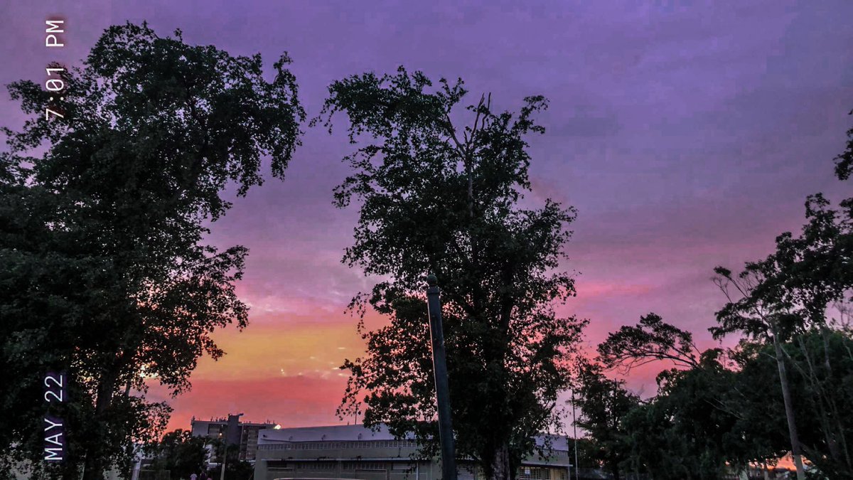 AxelChijin's tweet photo. #fotodia306 purple photo https://t.co/tiBcZYxkqF