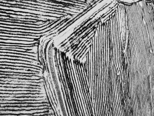 jatustein's tweet photo. Mario Giacomelli (1925-2000) Untitled,
(from Storie della Terra), 1970.
#MarioGiacomelli #c1970 https://t.co/cBZeGggTmJ
