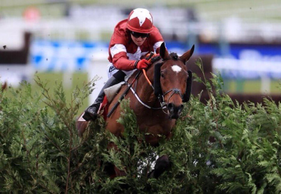 Bit harsh asking Tiger Roll to run twice in the space of a few minutes earlier 😂😂