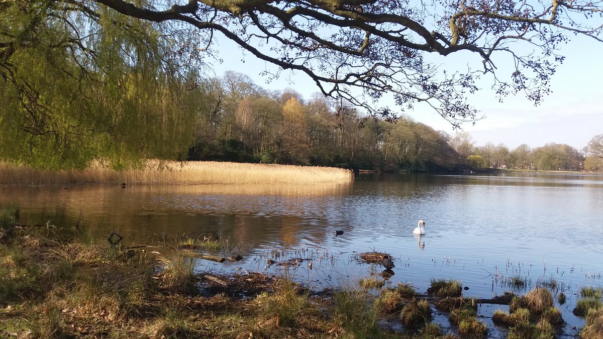 judymum's tweet photo. Today's walk @WollatonHall #SocialDistancinguk @RamblersGB #exerciselocally https://t.co/1ILPuAoY8A