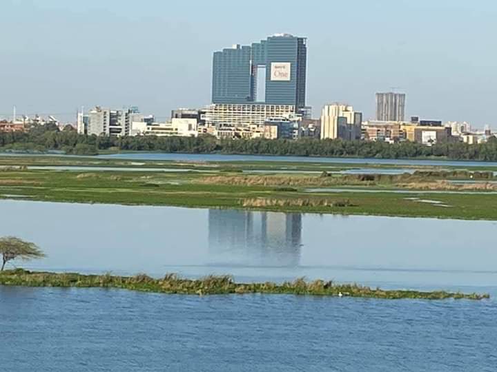 Yamuna River in Delhi today morning and the clear skies. Never even once in last 15 years, saw such majestic sights..!
#Delhi
#delhisky #bluesky #CleanDelhi #Yamuna