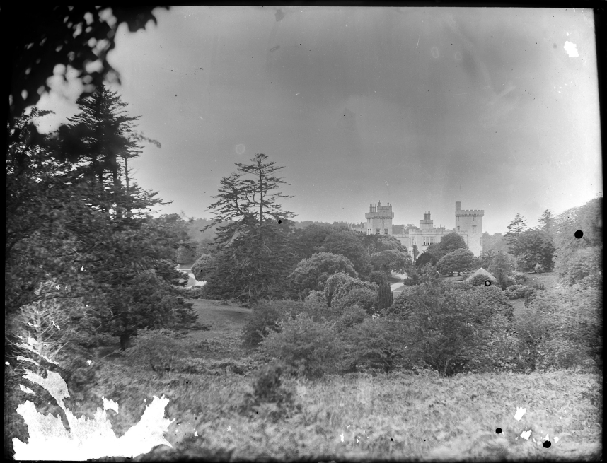 UL_SpecColl's tweet image. Late 19th century glass plate negatives featuring the O'Brien family and @dromolandcastle in #Clare, including this one of a children's garden party. A lesser known #ACollection for #Archive30 Day 4 @ULLibrary