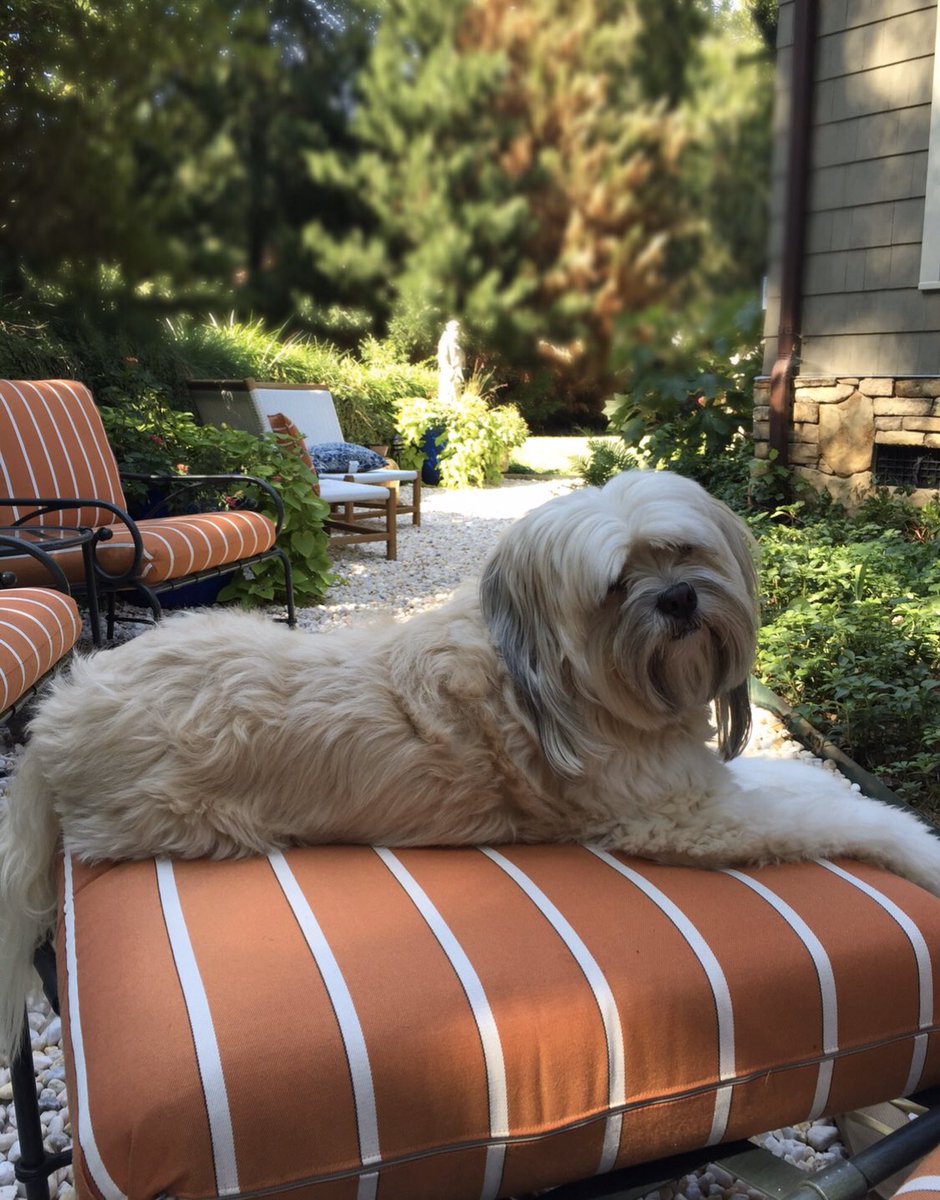 Maureen O'Boyle tweet media