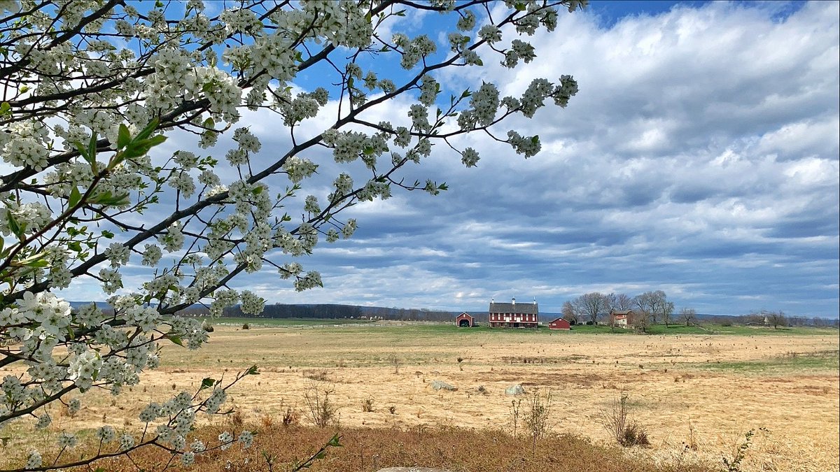 DestGettysburg's tweet photo. Bringing some sunny skies from @GettysburgNMP into your living room. ☀️ We miss you, and we can’t wait to see all of you again soon! ❤️ #AdamsTogether https://t.co/vk0QOKuxs3
