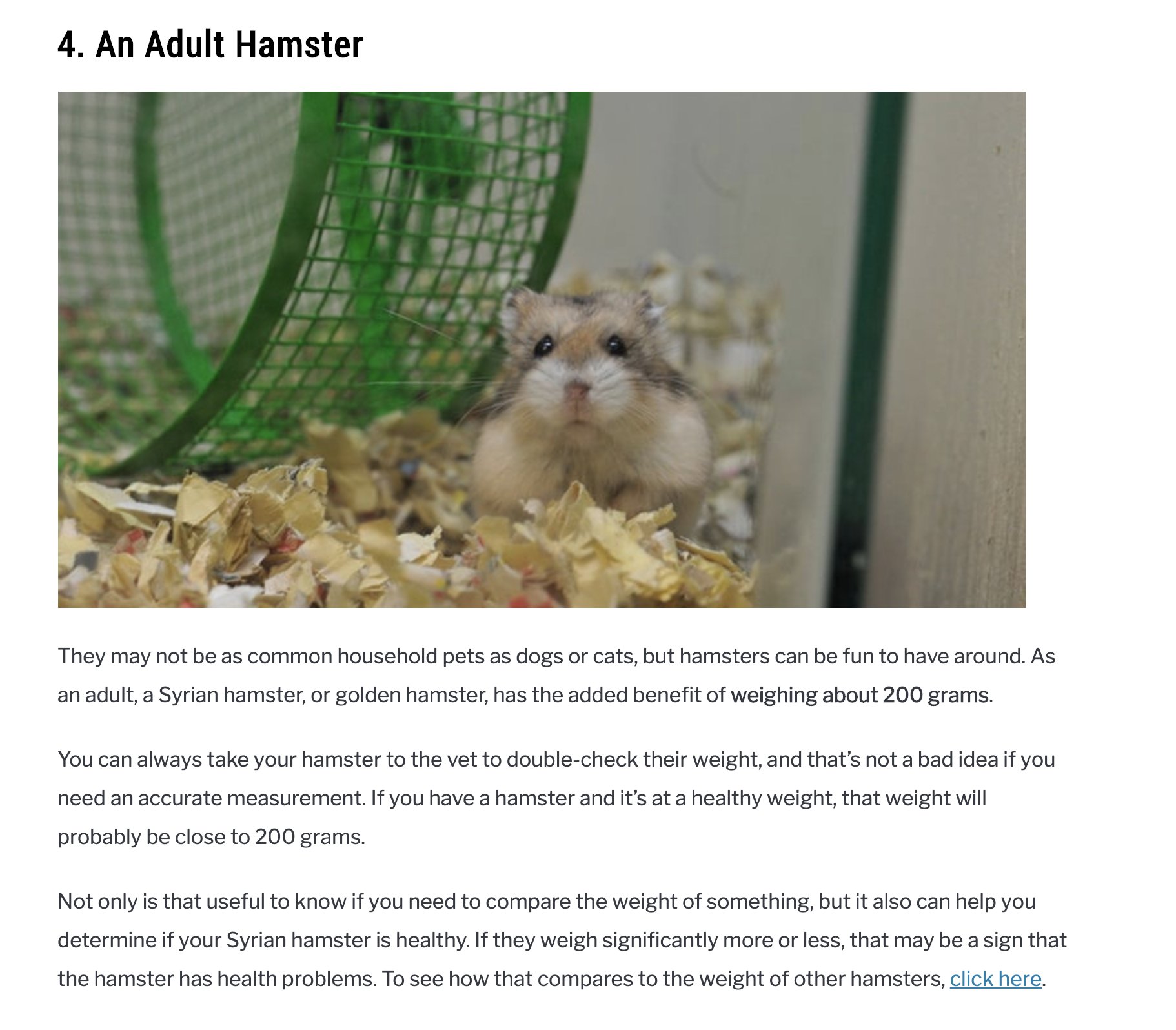 Random Facts Girl Auf Twitter Random Fact An Adult Hamster Weighs About 0 Grams Unfortunately I Need A 175g Mass And I Only Have Baby Chicks On Hand No Hamsters T Co Z8wszwpkd9 Random Facts Girl Auf Twitter Random Fact An Adult Hamster Weighs About 0 Grams Unfortunately I Need A 175g Mass And I Only Have Baby Chicks On Hand No Hamsters T Co Z8wszwpkd9
