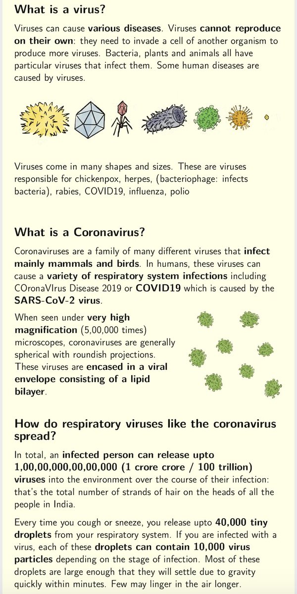 What exactly is a  #coronavirus? How do these viruses affect the  #RespiratorySystem? Here is an explainer  #FunToLearn  #ScienceFromHome