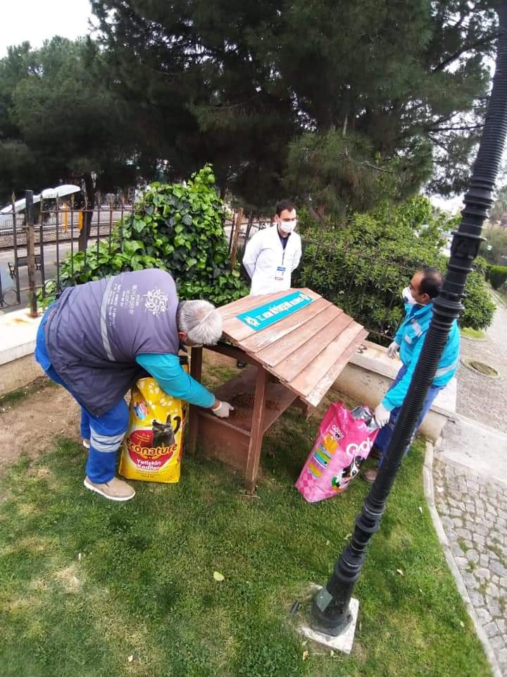 Ysmnyl's tweet photo. #iyilikakımı
#cumartesi
Onlar yalnız değil ❤️🤗
@Guleryuzsrdl
@AydinBuyuksehir
@OZLEM_CERCIOGLU
#satınalmasahiplen 🐾 🙏
Biz buradayız sen #evdekal https://t.co/W0eIT5mZa9