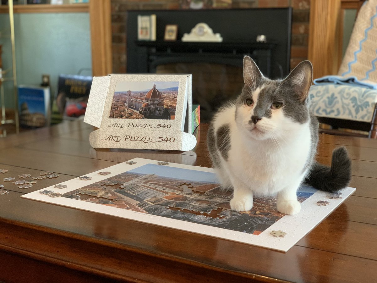 BCHSmagistra's tweet photo. Oreo and I seem to share the role of Odysseus’ “Faithful Penelope”. By day, I put together the puzzle; by night, she dissembles it! #LatinRocks #BCHSLatin #CatsAndPuzzles #FaithfulPenelope https://t.co/nsXE7KbPT9