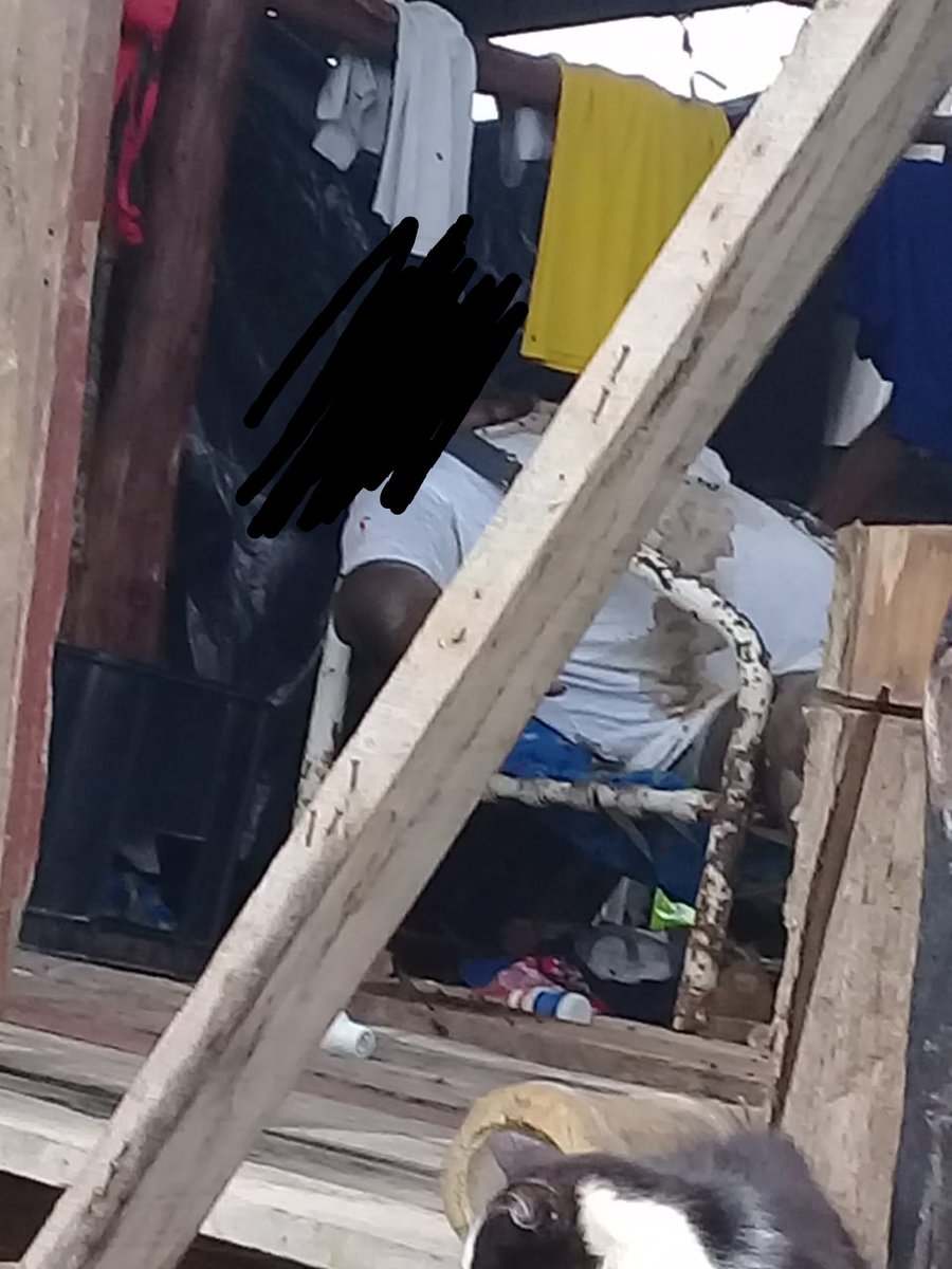 bessygranjaOK's tweet photo. Disculpas POR LA CRUDEZA DE LAS FOTOS. CINCO DÍAS DE FALLECIDO.  Kilómetro 22 vía a la Costa en el recinto Bajo Verde. Los vecinos claman ayuda para el traslado del cuerpo que emana fuertes olores debido a su descomposición.  Contacto: 0996565775 @JorgeWated @ECU911_ @aguschmer https://t.co/GjbJjoE4LZ