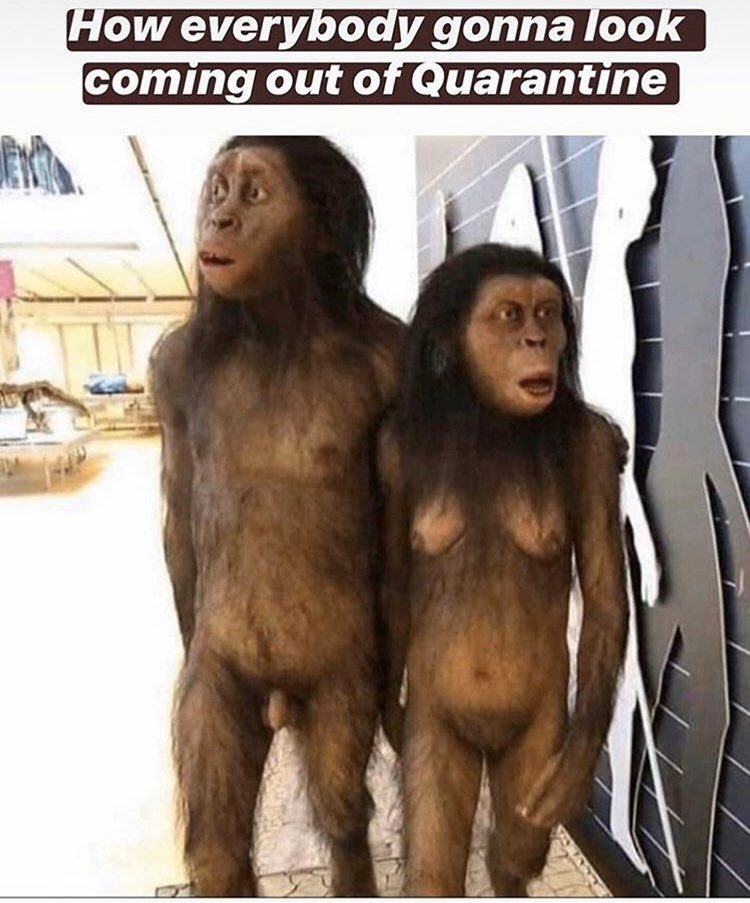 MainManMemes's tweet image. I’ll jus leave this here 😂