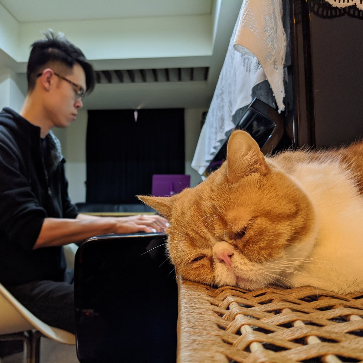 Mozarteam_'s tweet photo. 就是這麼生無可戀......（🥺）
-
更多看 @Mozarteam_
#貓 #厭世 
#cat #tired #piano https://t.co/Q7uBo4LPWg