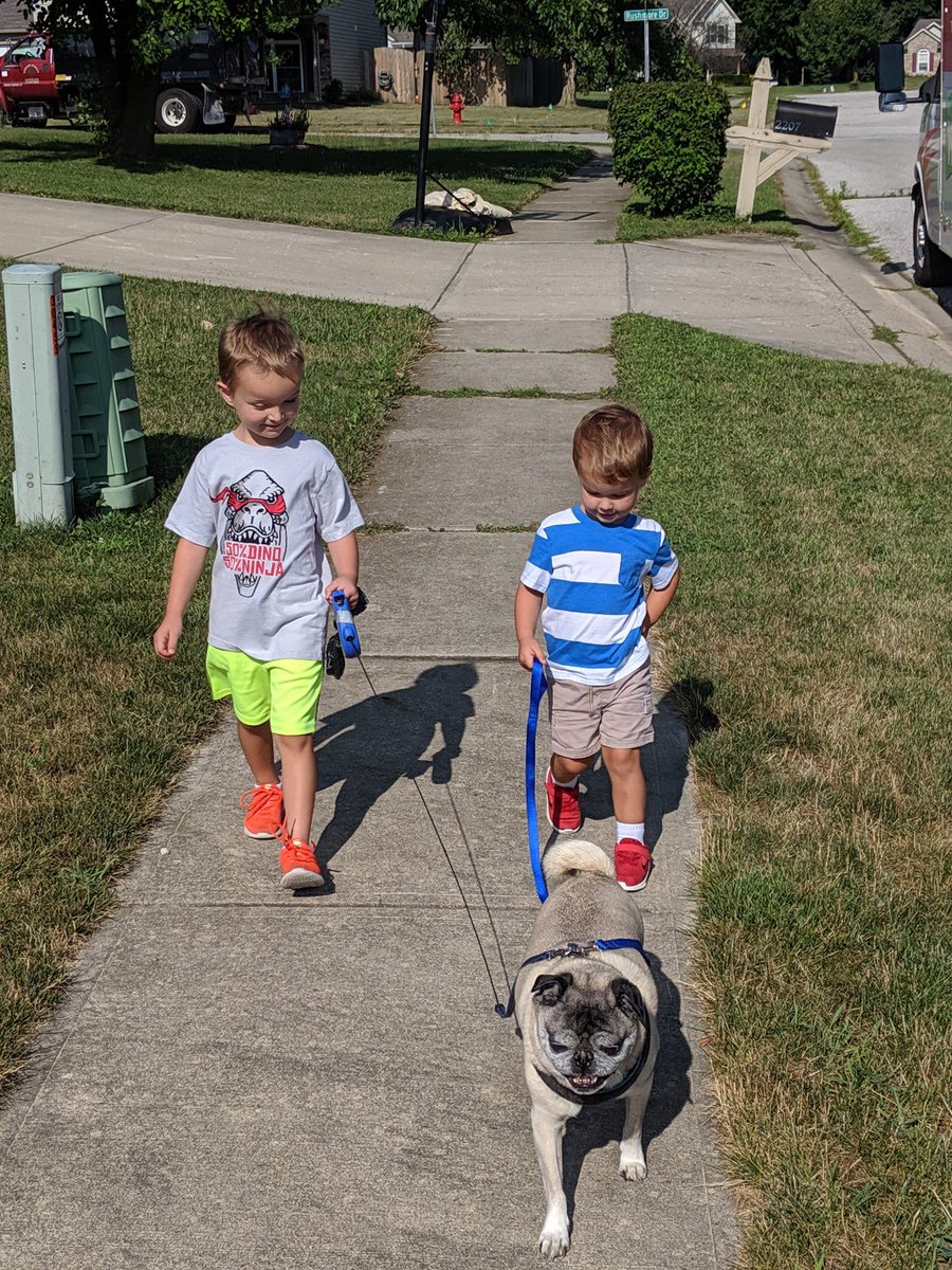 CheMorsetry's tweet photo. Never been a pet person, but life happens. Since marrying my awesome wife, I've been a proud Pug &amp; Pit Dad. Lots of vet bills, dog vomit, &amp; licking, BUT these 2 are keeping us safe &amp; sane right now. Getting me out early for walks. Hugs &amp; cuddling all day. #doglove #pugdad #pitdad https://t.co/jlPgLMCbkl