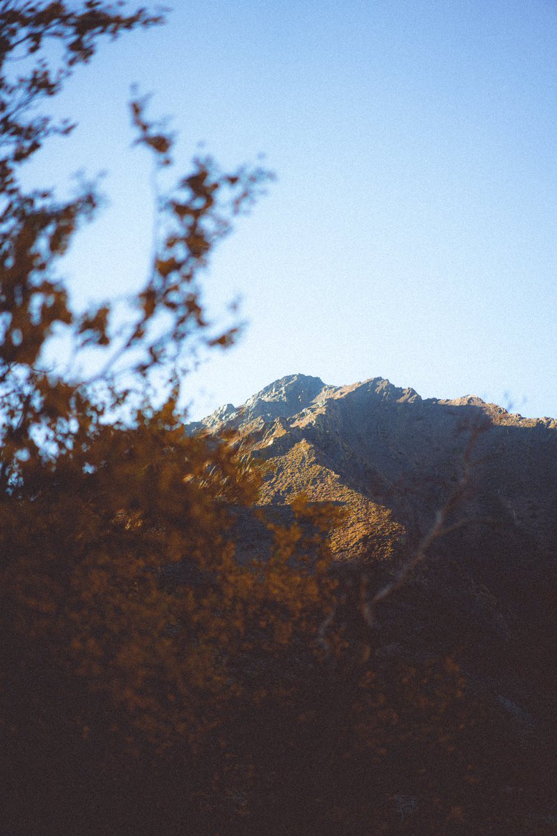 temotive's tweet photo. A mob to the sierras would cure my cabin fever https://t.co/tXmbt5eHxt