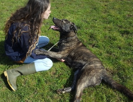 gsrescueelite's tweet image. 3yr old Mia has been on a road trip from #Cornwall to #Gloucester and we have discovered she is a real cuddle monster who loves a fuss and a belly rub 
#dogs #GermanShepherd 
gsrelite.co.uk/mia-6/