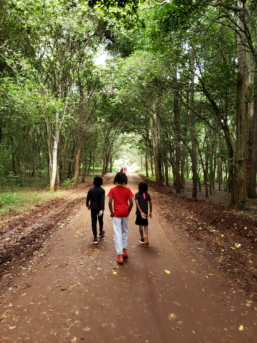 Took a break to take a walk in the beautiful Karura Forest with the kids. The forest still stands today because of  @WangariMaathai activism. She fought for that forest and paid a heavy price,  #KenyaPoliceForce brutalised her and many others as they protected the landgrabbers.