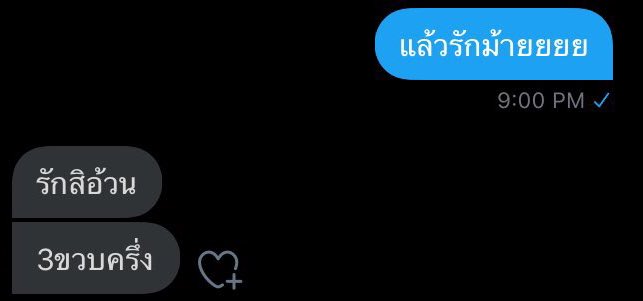 หะแมว tweet media