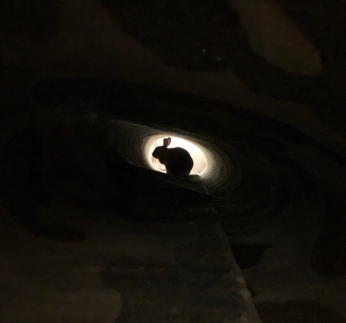 Tim Binnall tweet media