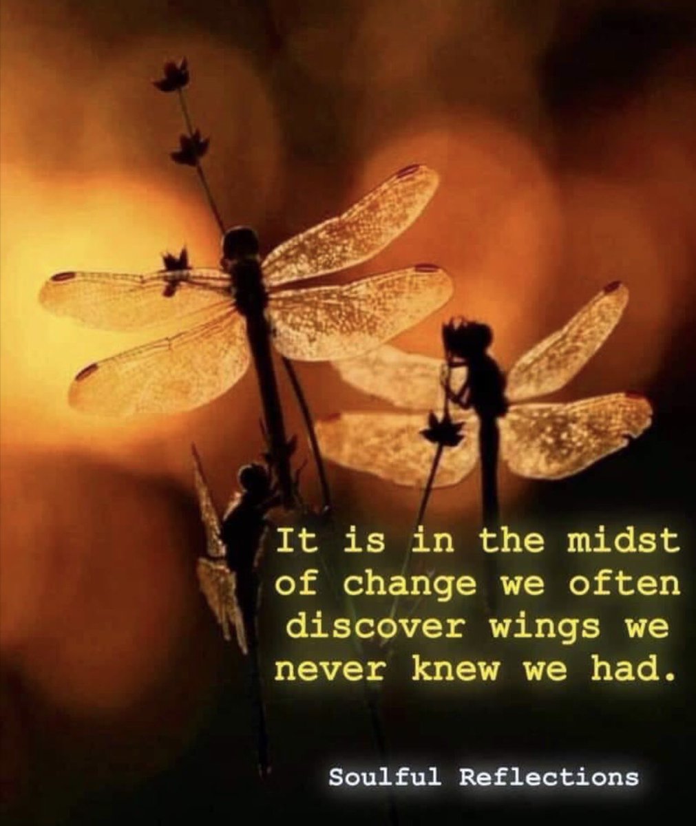 GoodNewsNatalie's tweet photo. Be the POSITIVE change. ❤️ https://t.co/zpARSSzfDI