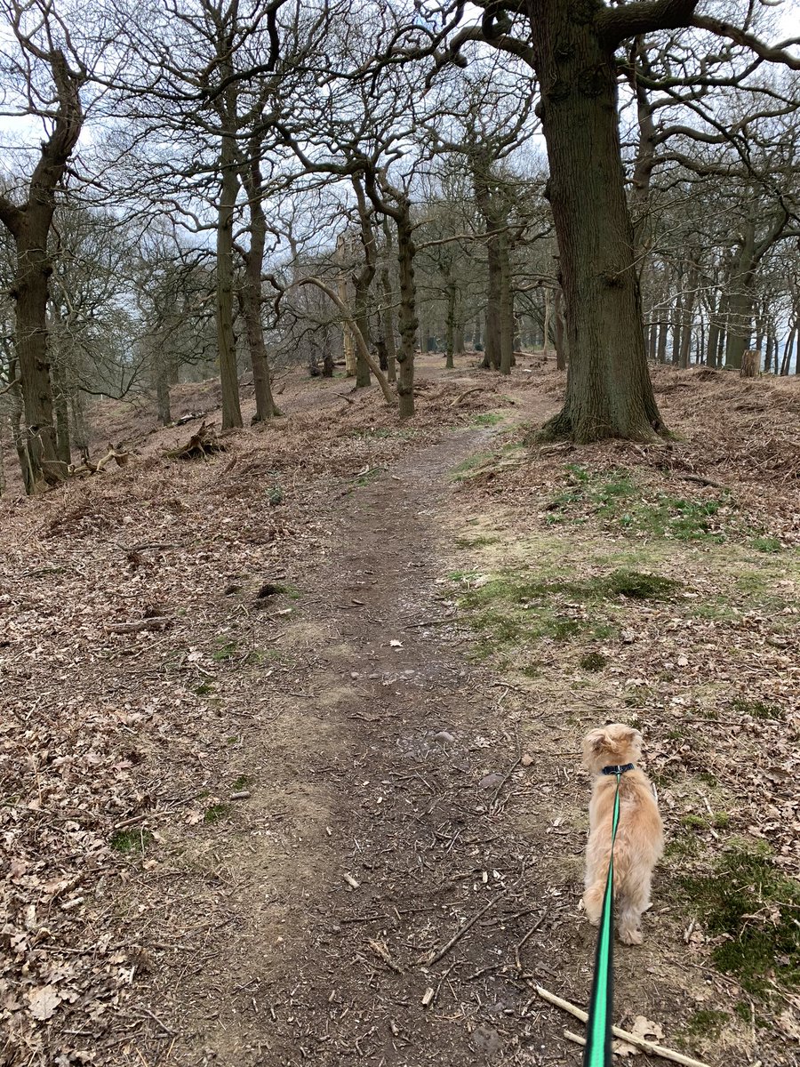 JulieFrost3's tweet photo. What a dump Stoke-on-Trent is..... #perceptionvreality #SOT #TrenthamPark #Trentham https://t.co/U9Lvviw2rz