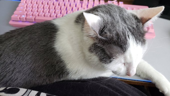 Help I'm trapped. https://t.co/M8qP9KGwE0