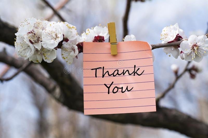 We are so grateful to the amazing faculty &amp; staff at HTS for a wonderful first week of remote learning! Thank you for keeping our children at the centre of all you do, &amp; for bringing the joyful sounds of the classroom into our homes. Have a fabulous weekend, HTS! <a href="/HTSRichmondHill/">HTS Richmond Hill</a>