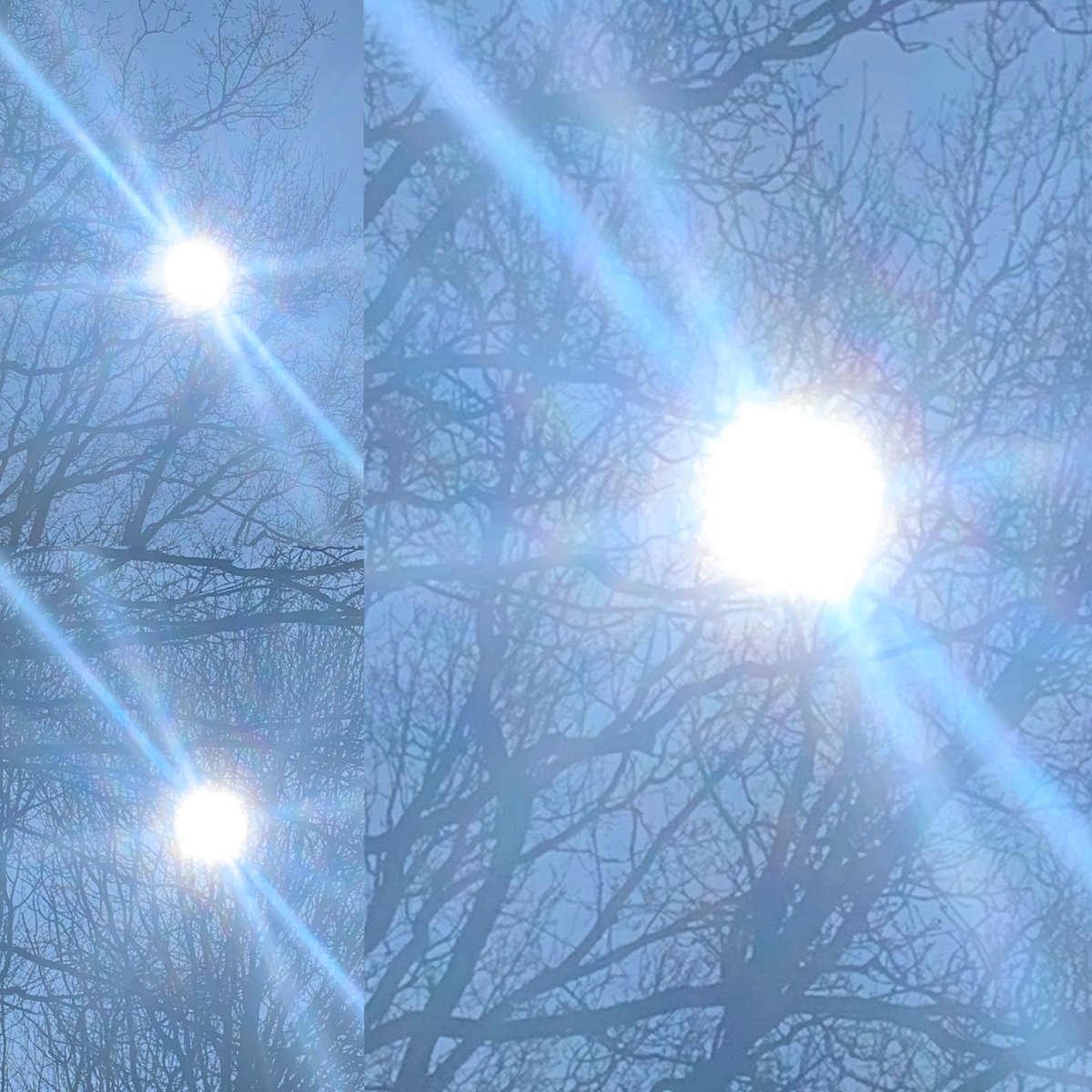 stories_rainbow's tweet image. Don’t look directly at the sun but I loved the rainbow hues coming off it in these photographs of the brilliant sun today. Shining down making everything seem more hopeful for those of us lucky enough to be able to enjoy it. #searchforrainbows #searchforhope #stayhome #nhs ☀️🌈